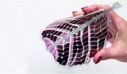 2019最具潛力新材料,比泡沫輕100倍!